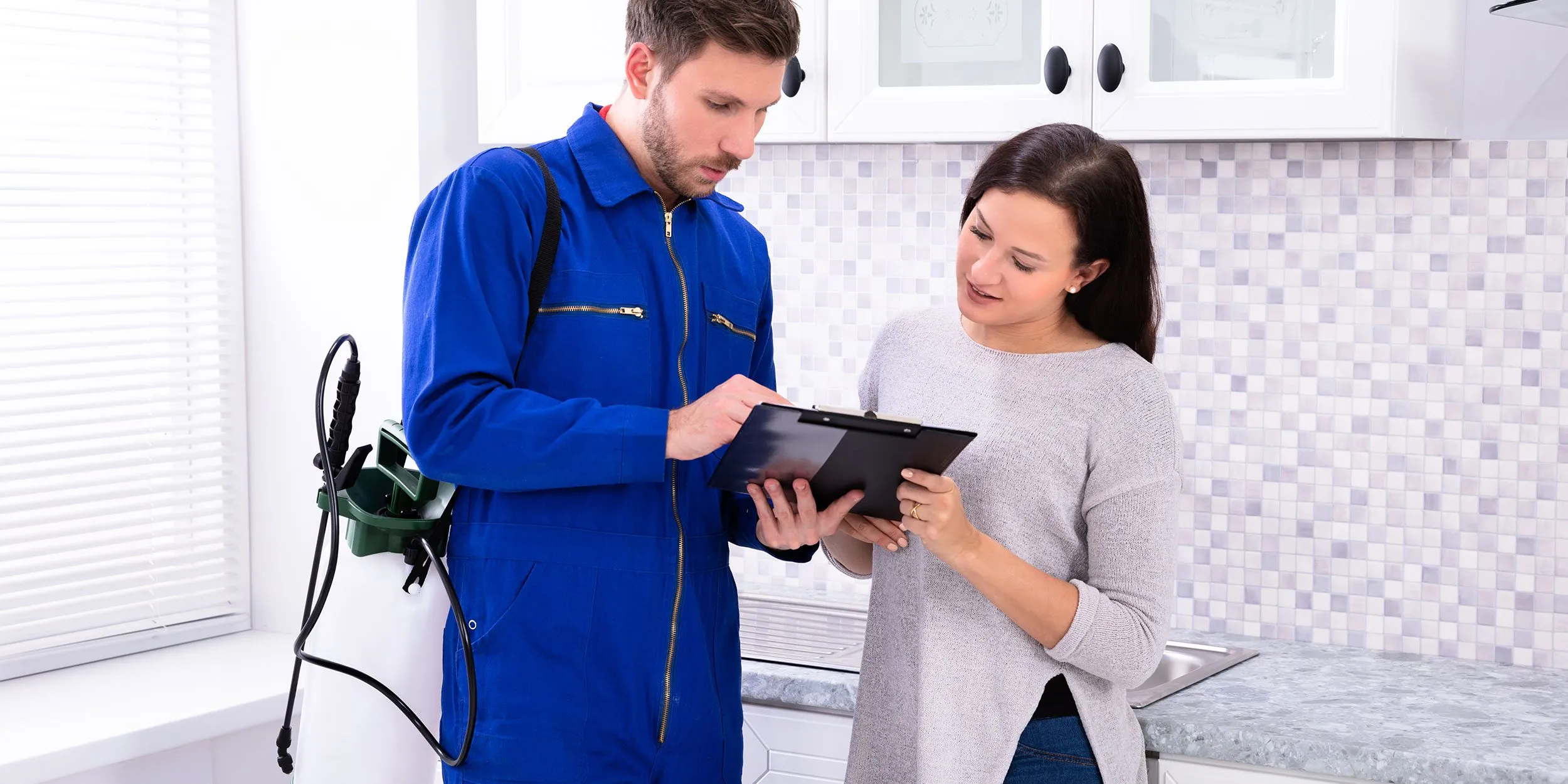 Regular Pest Inspections in Phoenix Regular Pest Inspections in Phoenix