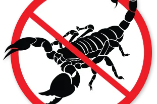 Can pest control get rid of scorpions