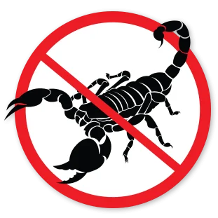 Can pest control get rid of scorpions