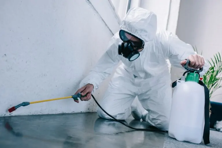 How Often Should Pest Control Be Done in Phoenix