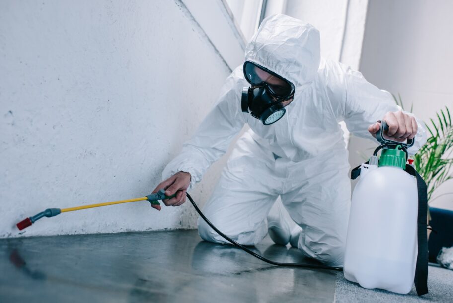 How Often Should Pest Control Be Done in Phoenix