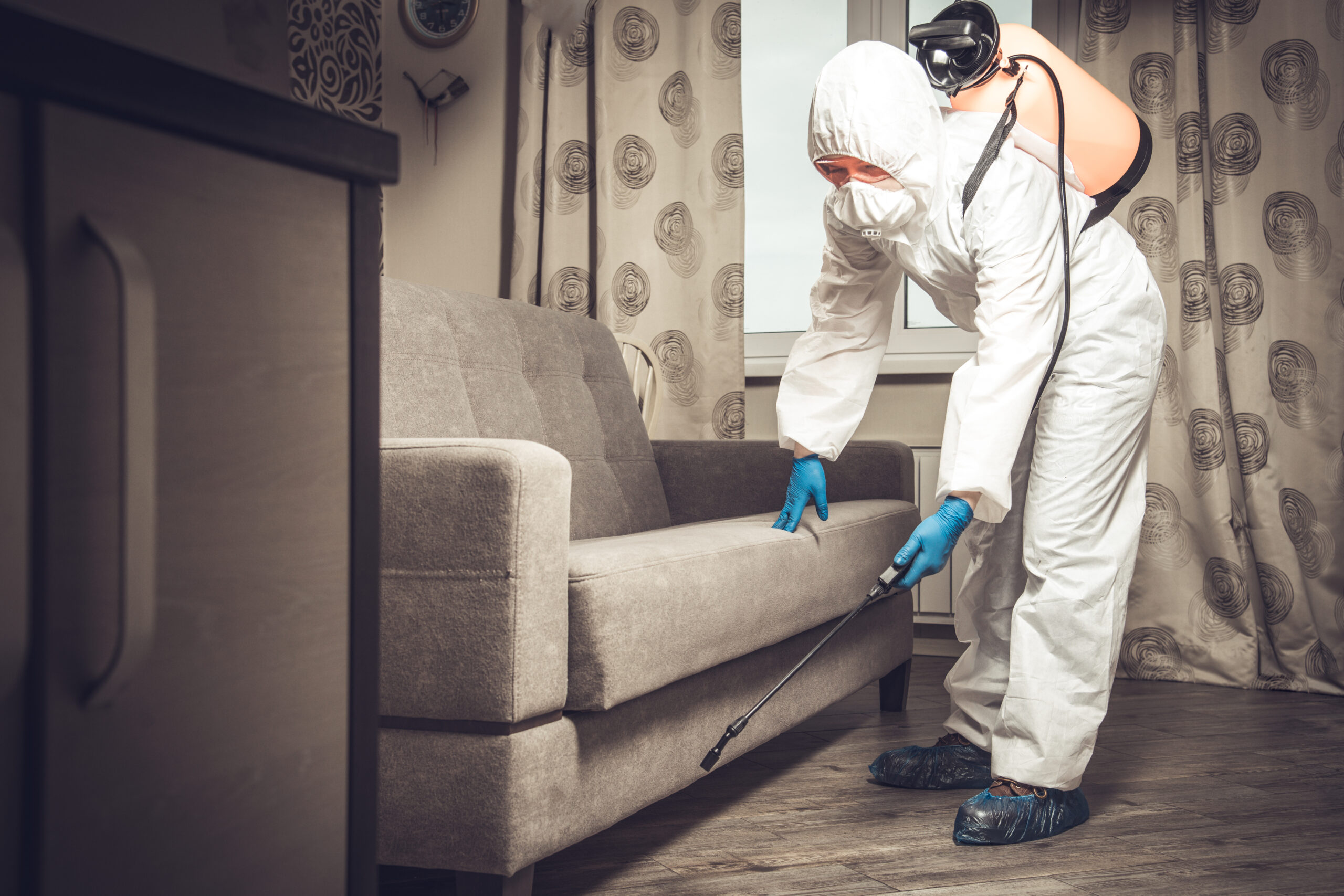 How to Prepare for Exterminator - Family First Pest Control