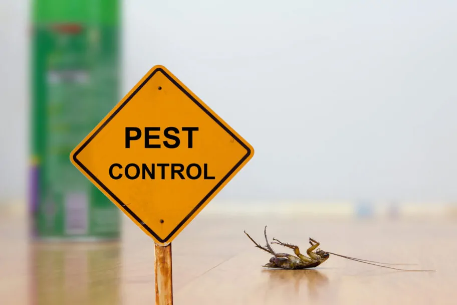 Best Pest Control in Phoenix