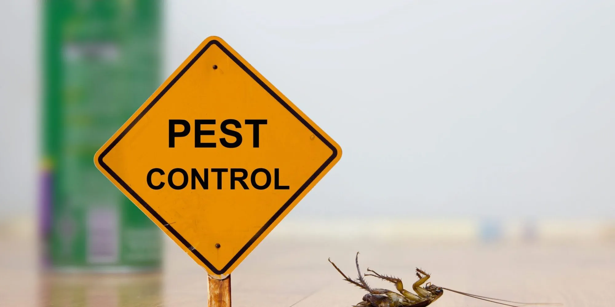 Best Pest Control in Phoenix