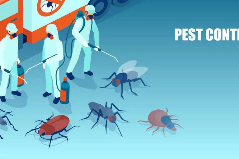 Commercial Pest Control Phoenix