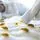 Disinfect a Mattress from Bed Bugs