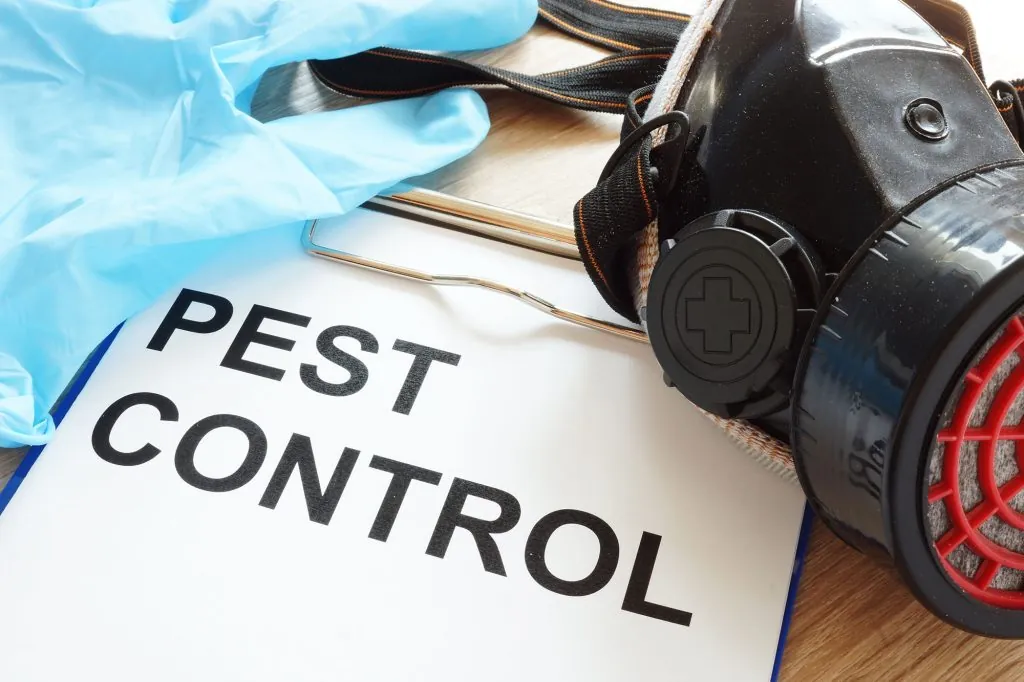 Professional Pest Control Service