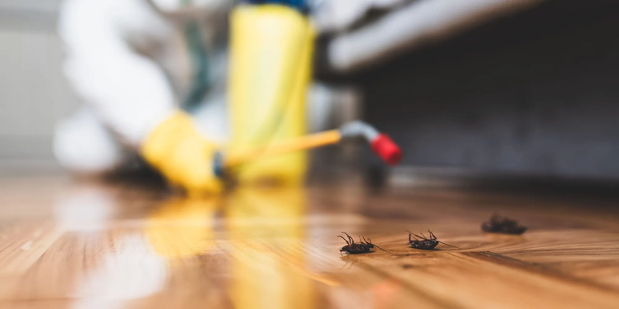 Pest Control Services