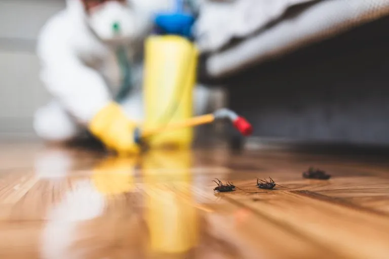 Pest Control Services