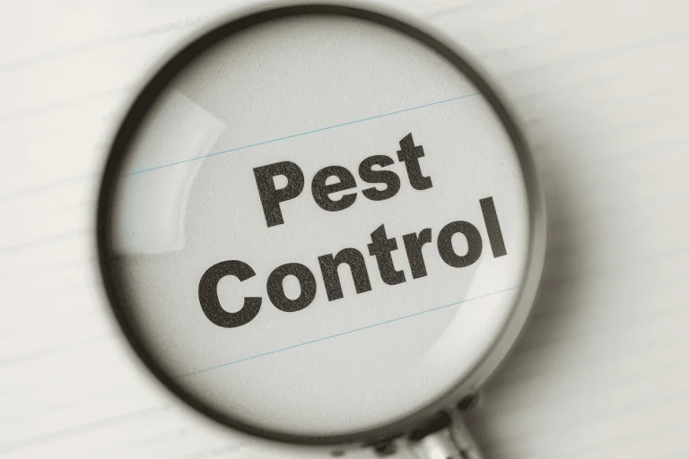 Fall Pest Control Checklist for Homeowners in Arizona Fall Pest Control Checklist for Homeowners in Arizona