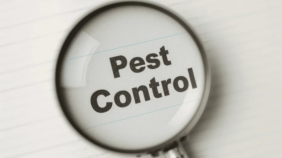 Fall Pest Control Checklist for Homeowners in Arizona Fall Pest Control Checklist for Homeowners in Arizona