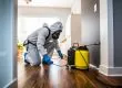 Pest control professional performing preventive pest control treatment