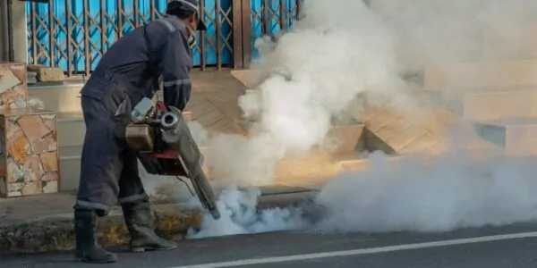 Pest Control Technician Doing Mosquito Control Fogging