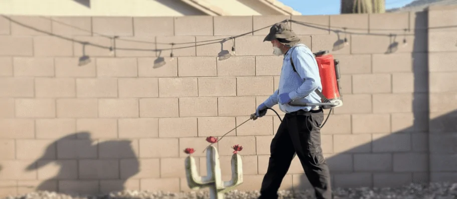 mosquito-1 Mosquito Control Service