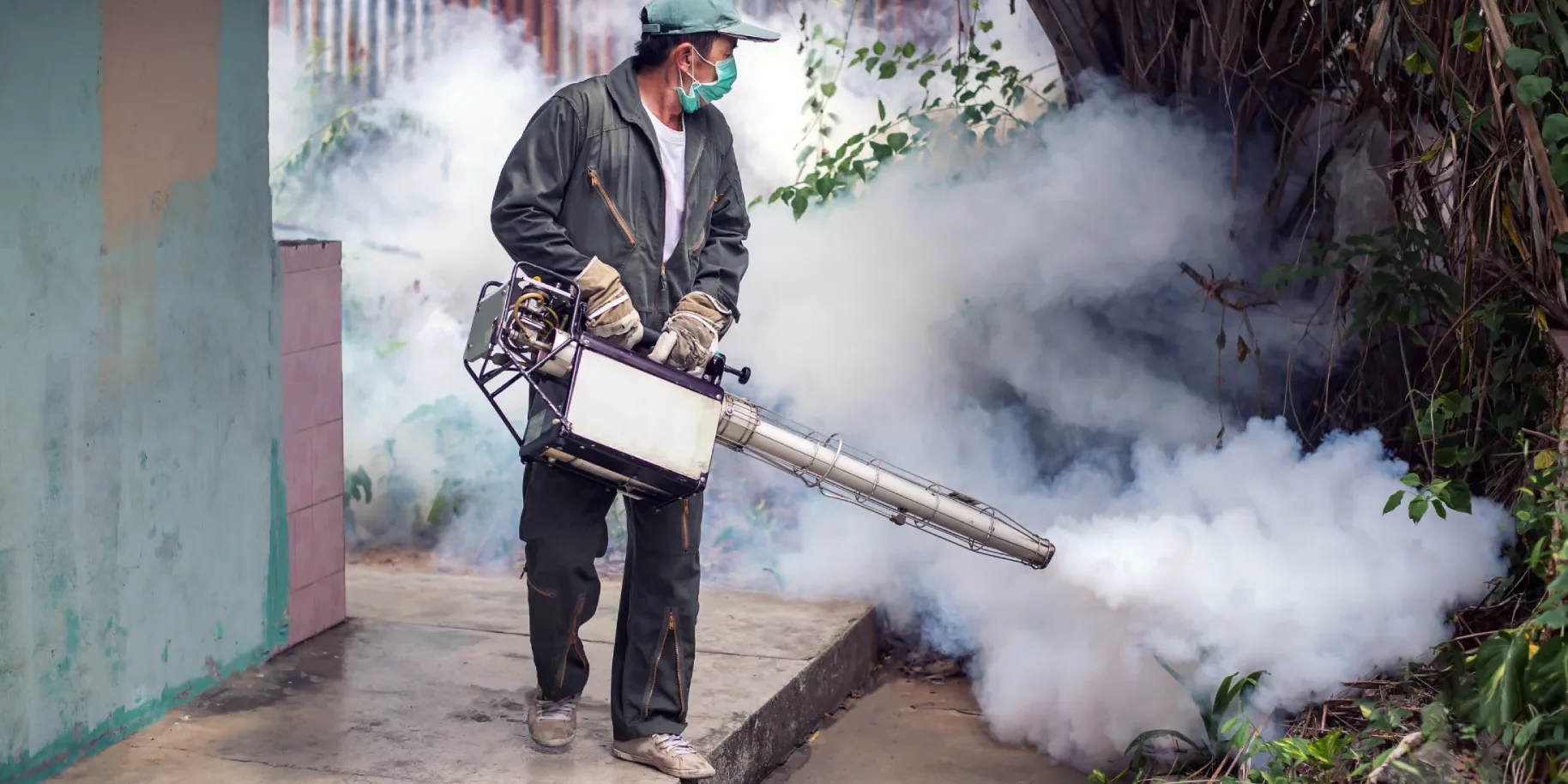 mosquito-control-in-arizona-fogging-dengue-prevention Mosquito control in Arizona using fogging treatment to reduce mosquitoes and help prevent dengue fever and other mosquito-borne diseases.