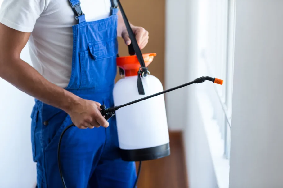 general-pest-control-services-arizona-technician-spraying-indoors Pest control technician in blue overalls spraying pesticide along a window frame as part of general pest control services in Arizona