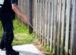 A pest control technician spraying the base of a wooden fence as part of a scorpion control treatment in a Phoenix backyard.