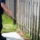 A pest control technician spraying the base of a wooden fence as part of a scorpion control treatment in a Phoenix backyard.