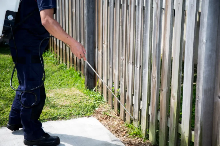 A pest control technician spraying the base of a wooden fence as part of a scorpion control treatment in a Phoenix backyard.