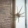 Large spider near a door frame, a common sight during fall pest control Phoenix season